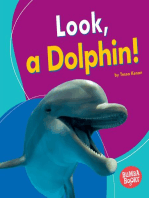 Look, a Dolphin!