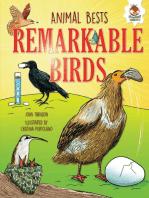 Remarkable Birds