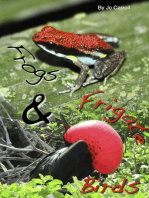 Frogs and Frigate Birds