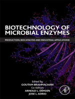 Biotechnology of Microbial Enzymes: Production, Biocatalysis and Industrial Applications