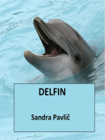 Delfin