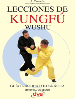 Lecciones de Kung Fu