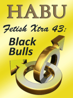 Fetish Xtra 43: Black Bulls