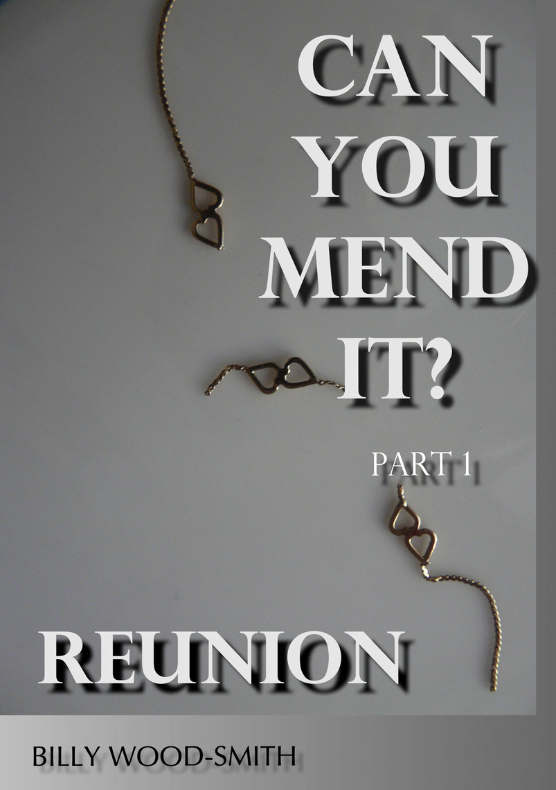 Can You Mend It? Part 1 Reunion by Billy Wood-Smith