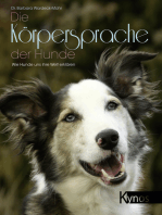 Die Körpersprache der Hunde: Wie Hunde uns ihre Welt erklären