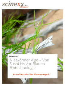 Alleskönner Alge: Von Sushi bis zur Blauen Biotechnologie