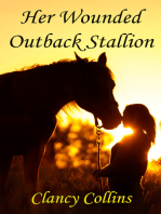 Her Wounded Outback Stallion