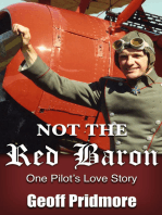 Not the Red Baron
