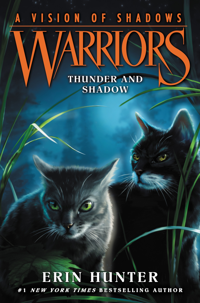 Warriors: The Broken Code #3: Veil of Shadows eBook by Erin Hunter - EPUB  Book