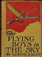 The Flying Boys in the Sky