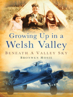 Growing Up in a Welsh Valley