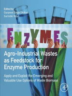 Agro-Industrial Wastes as Feedstock for Enzyme Production: Apply and Exploit the Emerging and Valuable Use Options of Waste Biomass