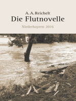 Die Flutnovelle: Niederbayern 2016