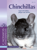 Chinchillas