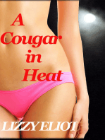 A Cougar in Heat