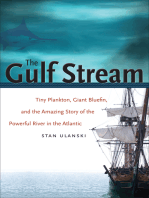 The Gulf Stream