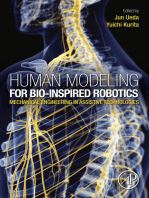Human Modeling for Bio-Inspired Robotics: Mechanical Engineering in Assistive Technologies