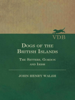 Dogs of the British Islands - The Setters, Gordon and Irish