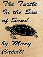 The Turtle in the Sea of Sand