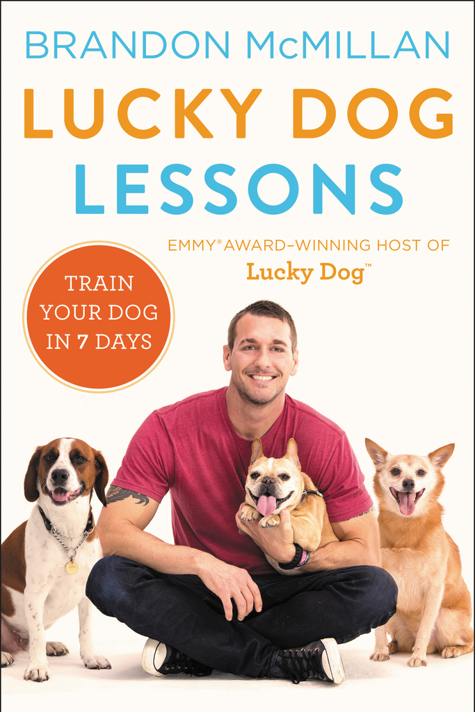 Lucky Dog Lessons by Brandon McMillan Book Read Online