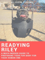 Readying Riley