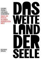 Das weite Land der Seele: Über die Psyche in einer verrückten Welt