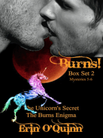 Burns! Box Set Two (Mysteries 5-6)
