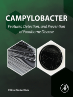 Campylobacter: Features, Detection, and Prevention of Foodborne Disease