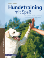 Hundetraining mit Spaß: Die vielversprechende Ausbildung vom Welpen zum Begleithund