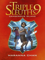 Triple Nine Sleuths: Dangerous Island: Triple Nine Sleuths, #3