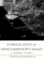 Forays Into a Nincompoop's Head