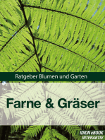 Farne & Gräser: Ratgeber Blumen und Garten