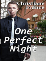 One Perfect Night