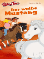 Bibi & Tina – Der weiße Mustang: Roman
