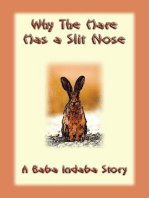 Why the Hare Has A Slit Nose: A Baba Indaba Story