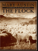 The Flock