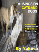 Musings On Cats And Dogs