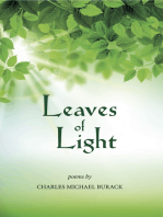 Leaves of Light