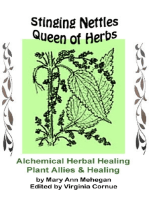 Stinging Nettles - Queen of Herbs: Alchemical Herbal Healing of Plant Allies