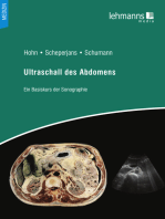 Ultraschall des Abdomens: Ein Basiskurs der Sonografie