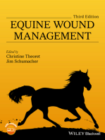 Equine Wound Management