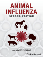 Animal Influenza