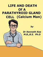 Life And Death Of A Parathyroid Gland Cell (Calcium Man)