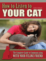 How to Listen to Your Cat: The Complete Guide to Communicating with Your Feline Friend
