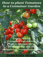 How to Plant Tomatoes in a Container Garden