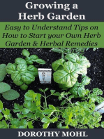 Growing a Herb Garden