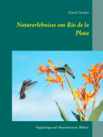 Naturerlebnisse am Rio de la Plata: Vogelzwerge und Meeresriesen in Bildern