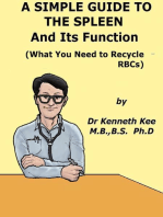 A Simple Guide to The Spleen And Its Function (What You Need To Recycle RBCs)