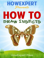 How To Draw Insects