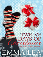 Twelve Days of Christmas - His Side of the Story: Twelve Days, #2